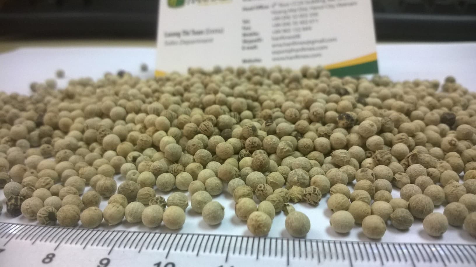 Vietnam White Pepper TOP QUALITY for wholesale